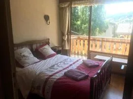 Appartement 2 pieces LE SAPPORO