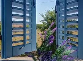 Blue harmony 1 Malinska