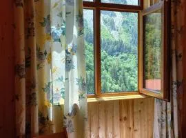 Guest House ELISABETH