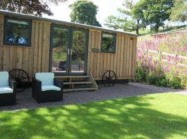 Little Acorn - Luxury shepherd's hut / lodge with private hot tub and garden, hotel with jacuzzis in Llanfyllin