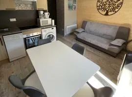 Le Martin pêcheur, Appartement proche hyper centre