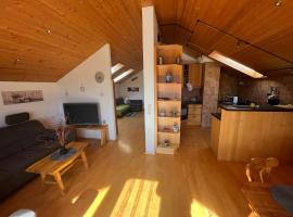 Ferienwohnung Sonnenschein, Hotel in Ühlingen-Birkendorf