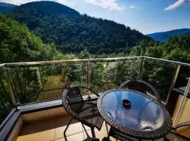 Orchid Luxury Apartment Sinaia