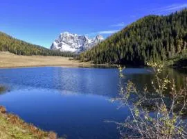 Appartamento Vanoi nel cuore verde del Trentino