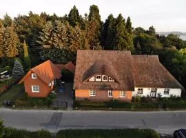 Ferienhaus Boddenhus