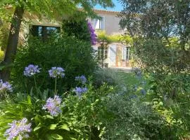 La Paradoune 2