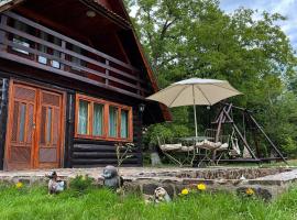 Cabana Paulina, nhà nghỉ dưỡng ở Chişcău