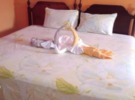 Island Dreams Hotel, Hotel in Kingston
