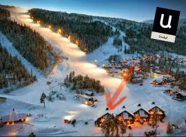 Mountain retreat in Uvdal WIFI SAUNA