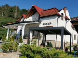 Villa Unique, partmenti szállás Jeselnicán