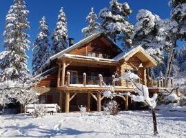 Magnifique chalet en rondins avec sauna - Vercors: Villard-de-Lans şehrinde bir dağ evi