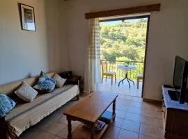 Arsos Village Apartment