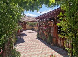 Casa Dana, hotel with parking in Haţeg