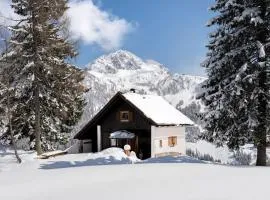 Gemütliche Skihütte an der Piste Ski-in & Ski-out