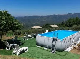 Azienda Agrituristica Salella