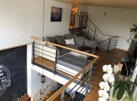 Tolle große Wohnung mit Kamin und Terrasse