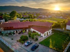 Pensiunea Ara, cheap hotel in Alba Iulia