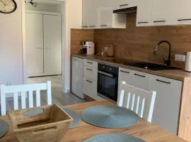 Apartament DWA DĘBY