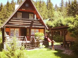 Chata Vysočina, hotel v destinaci Svratouch