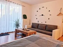 BRISE Business Apartment nahe Leipziger Messe - Porsche - BMW - DHL - WLAN - Parkplatz - business travelers only