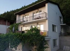 Vila Visni, holiday rental in Ohrid