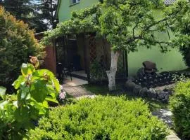 Domki nad Morzem "Dom Turysty MAG"