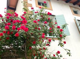 The Rooster Apartments, hotel v destinaci Kojsko