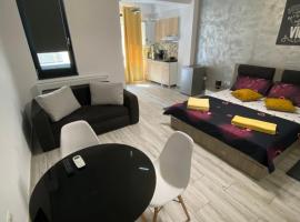 Garsoniera King Tip Studio, Ferienwohnung mit Hotelservice in Năvodari