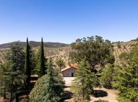 Acushla Original House Douro, hotel in Lodões