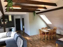 Apartmán Slezská Harta