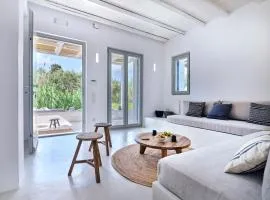 Perivoli Luxury Homes, Paros