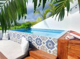 Beautiful Penthouse with Private Pool Amazing Views