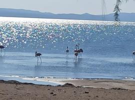 Angel's Houses, hotel near Saint Andrew, Skala Kallonis