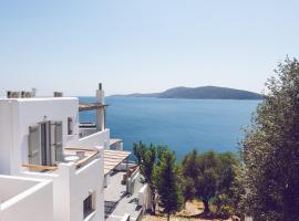 Vassiliki Residence Skyros Island, hotel in Skiros