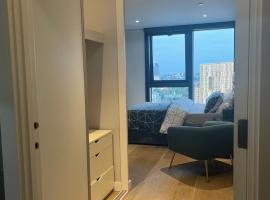 En-suite Double bedroom in 2bedrooms sharing apartment, homestay in London