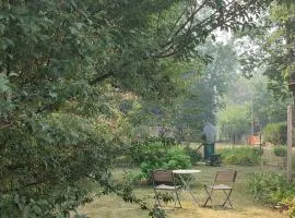 Chalet dans la Foret....Adorable 1 bedroom chalet surrounded by woodland