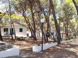 Villaggio Internazionale Punta del Diamante