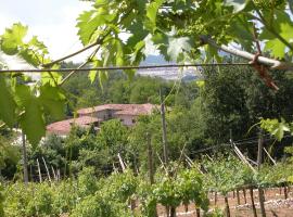 Agriturismo Ca' Verde, smeštaj na selu u gradu SantʼAmbrođo di Valpoličela