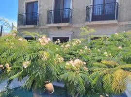 Vila Caviar