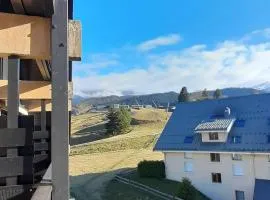 Appartement familial duplex 8 pers. 75m2 à Villard-de-Lans, balcon sud, proche village et navettes ski - FR-1-515-127