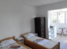 Vila Dusica