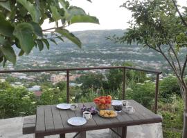 NAREK B&B, hotelli kohteessa Goris