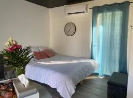 Gîte chaleureux avec jacuzzi