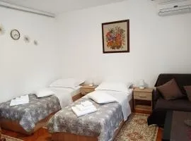 Studio Apartman Škudar