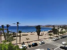 Las Palmeras 1