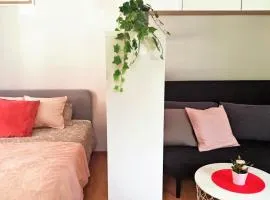 Apartament Malinowy Świętoduska 12