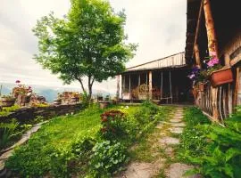 Guest house Sargiri