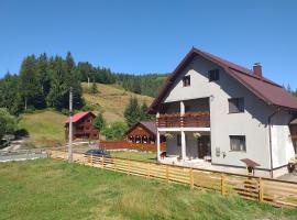 Casa Ianis, cabin in Arieşeni