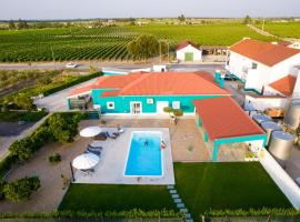 Delmira Vineyard House، فندق في Águas de Moura