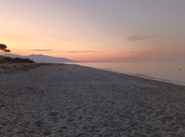 Maison à 200m de la mer, 10 mn de l'aéroport de Bastia et a 20mn du port, hôtel à Lucciana